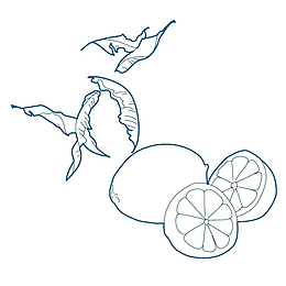 蓝色笔画柠檬简笔画