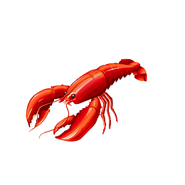 红色龙虾卡通插画