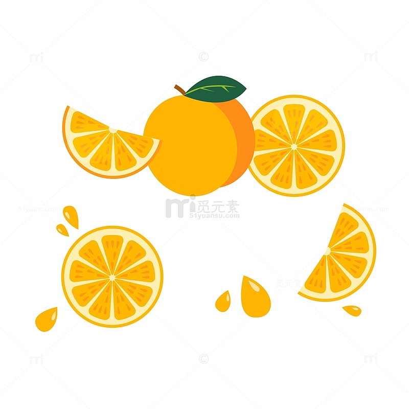 切开的橙子矢量图