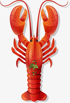 红色的卡通大龙虾