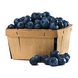 实物篮子里的野生蓝莓