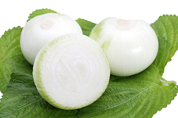 白色洋葱头横切面