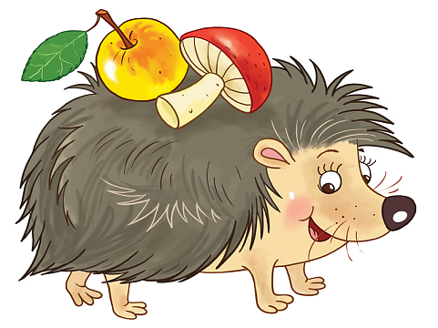 最新刺猬动物素材