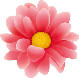 扁平大红花手绘粉红花瓣