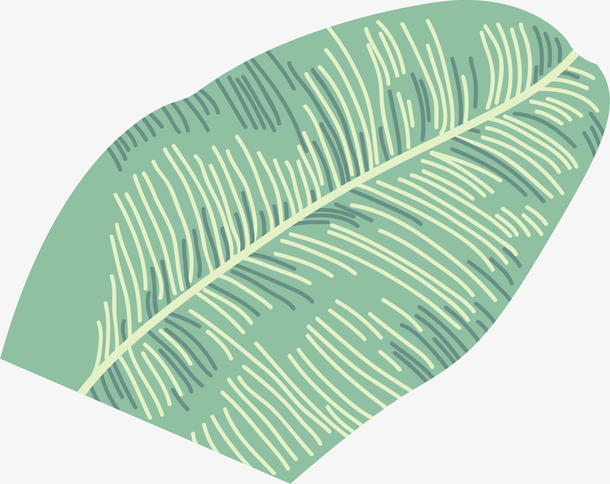 灰白色卡通扁平风格芭蕉叶