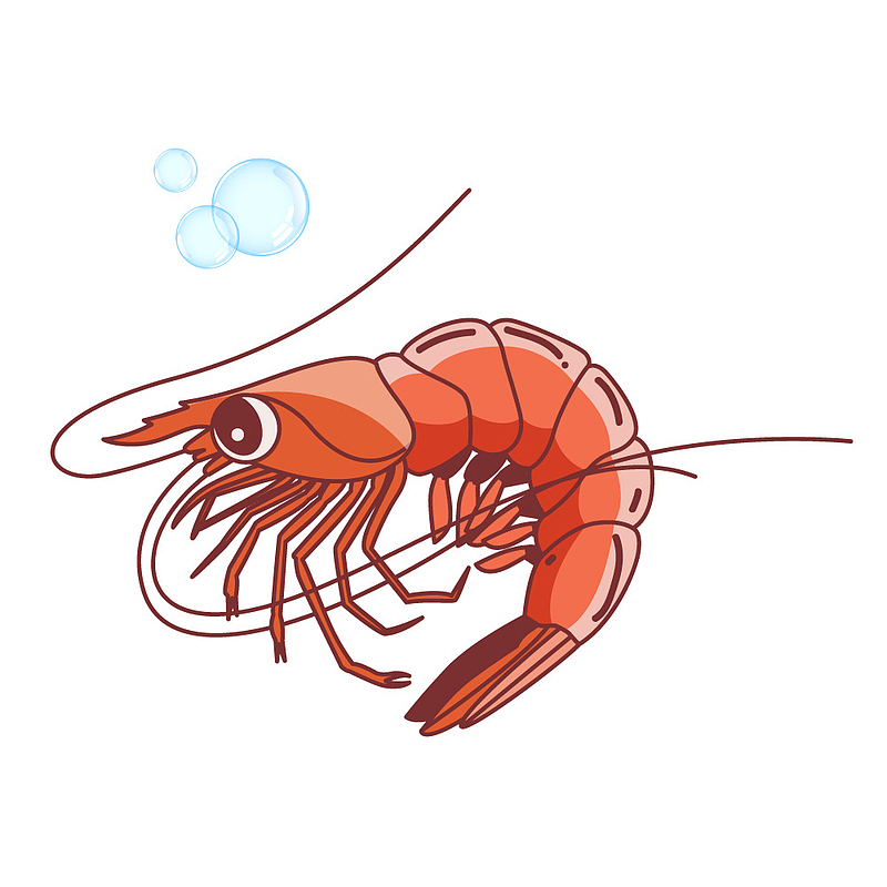 红色小龙虾卡通手绘
