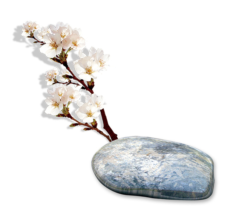 白色樱花枝石头装饰图案