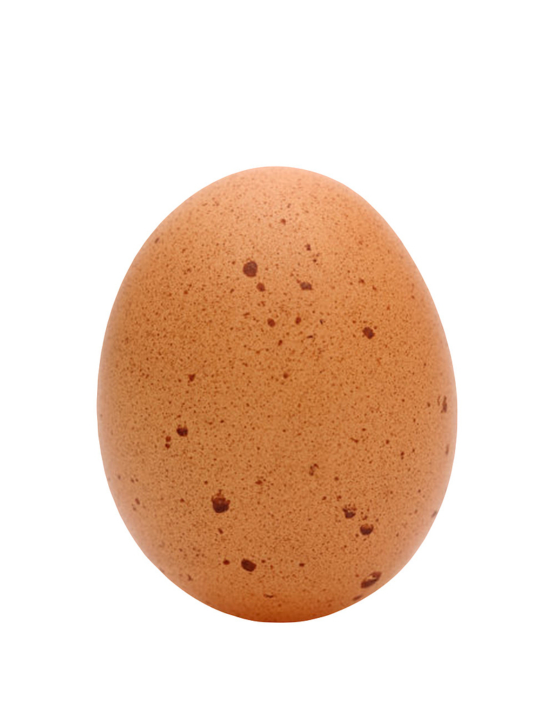 褐色鸡蛋带黑子斑点的初生蛋实物