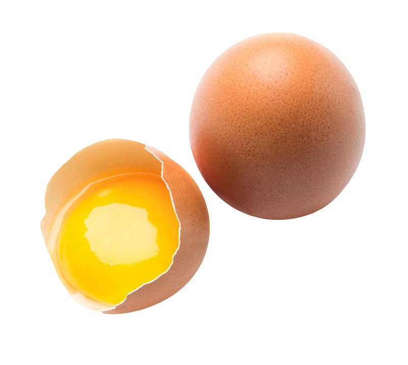 褐色鸡蛋初生蛋和打开的初生蛋黄