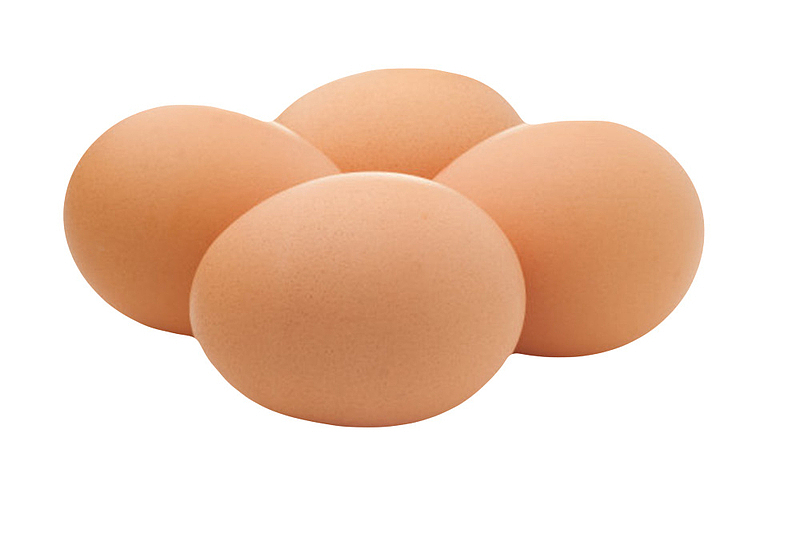 褐色鸡蛋四个初生蛋实物