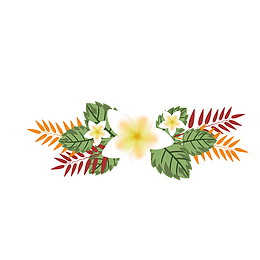 矢量鸡蛋花
