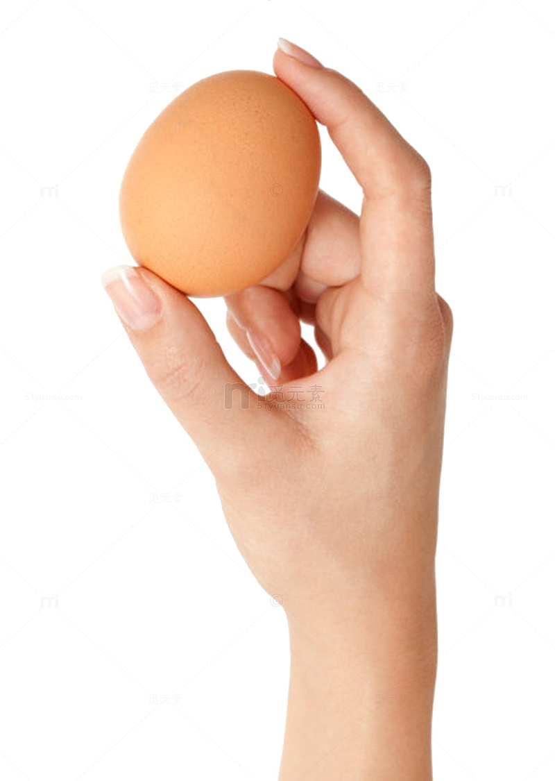 褐色鸡蛋手捏着的初生蛋实物