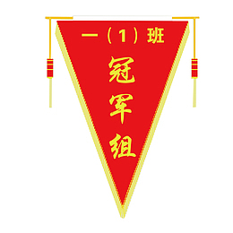 学生冠军三角锦旗