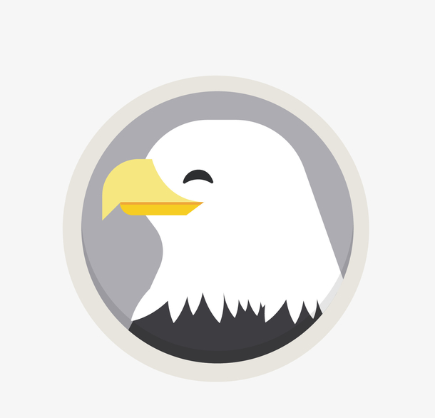 矢量卡通手绘老鹰png