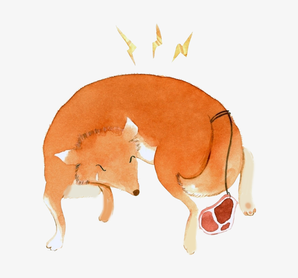 手绘狐狸吃肉