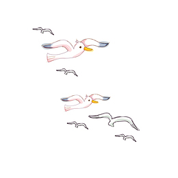 一群飞翔的小鸟