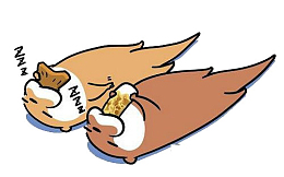 彩色动物