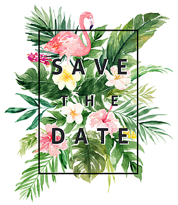 动物植物矢量手绘