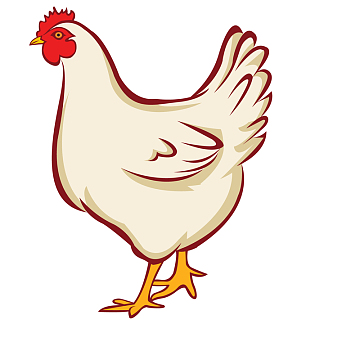 卡通手绘母鸡动物设计
