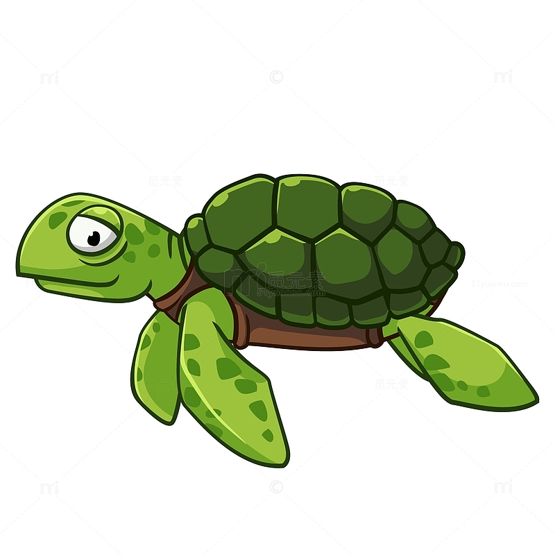 卡通绿色的海龟动物设计