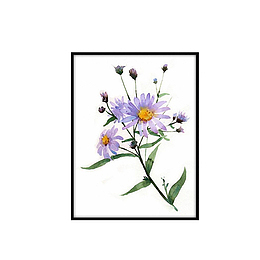 北欧小清新欧式野菊花装饰画