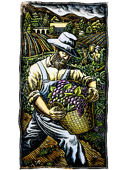 装饰插画农地收获的农地插画