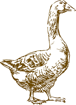 手绘鸭子免抠素材