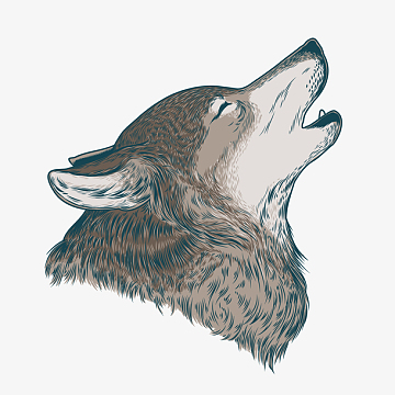 狼矢量图素材_狼矢量图图片元素-觅元素