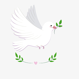 卡通鸽子素材_卡通鸽子png图片下载_觅元素