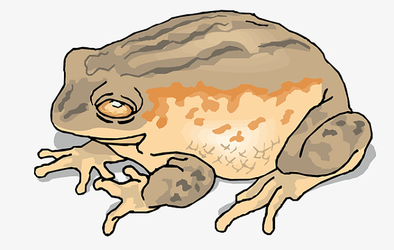 (500x500)png手绘蟾蜍(900x748)aipng卡通矢量png蛤蟆(1268x1397)png