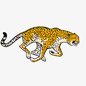 png花纹豹子(564x731)aipng灰色手绘小豹子卡通插画(1800x1800)png