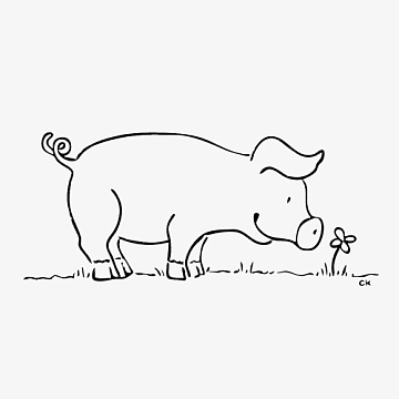 看花草地猪简笔画