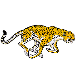 手绘凶猛的豹子设计
