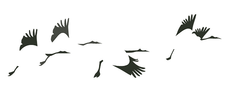 二十四节气白露展板