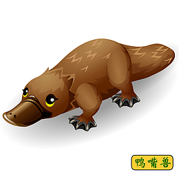 手绘鸭嘴兽