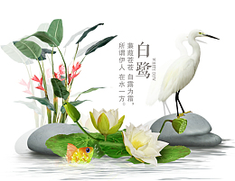 二十四节气白露动物