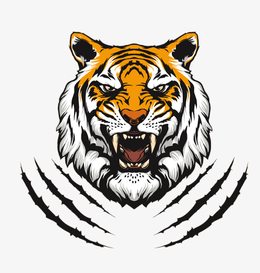卡通可爱动物头像老虎