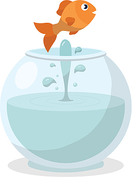 奋力跳出鱼缸的金鱼