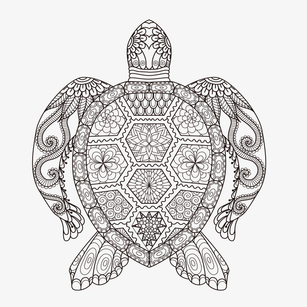 绘画花纹乌龟