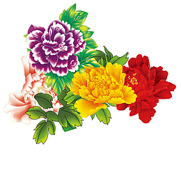 花卉