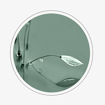 寒露圆形白色水珠装饰免下载