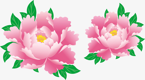 牡丹素材免费下载_觅元素