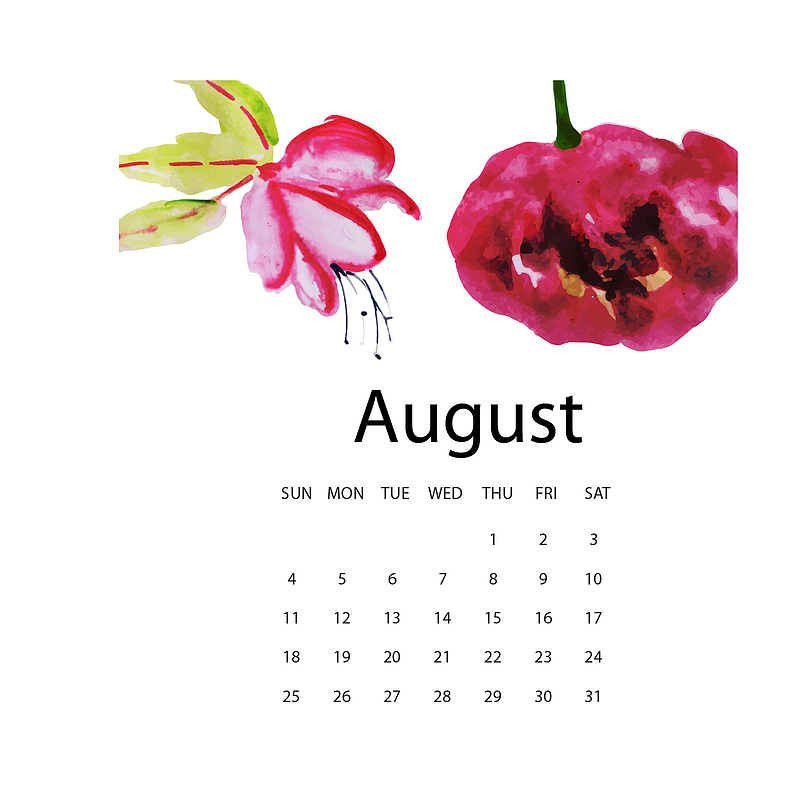 2019八月水彩植物年历