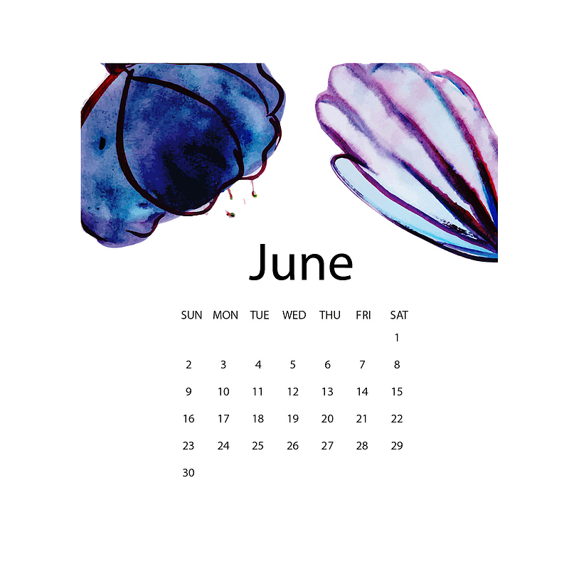 2019水彩植物6月年历