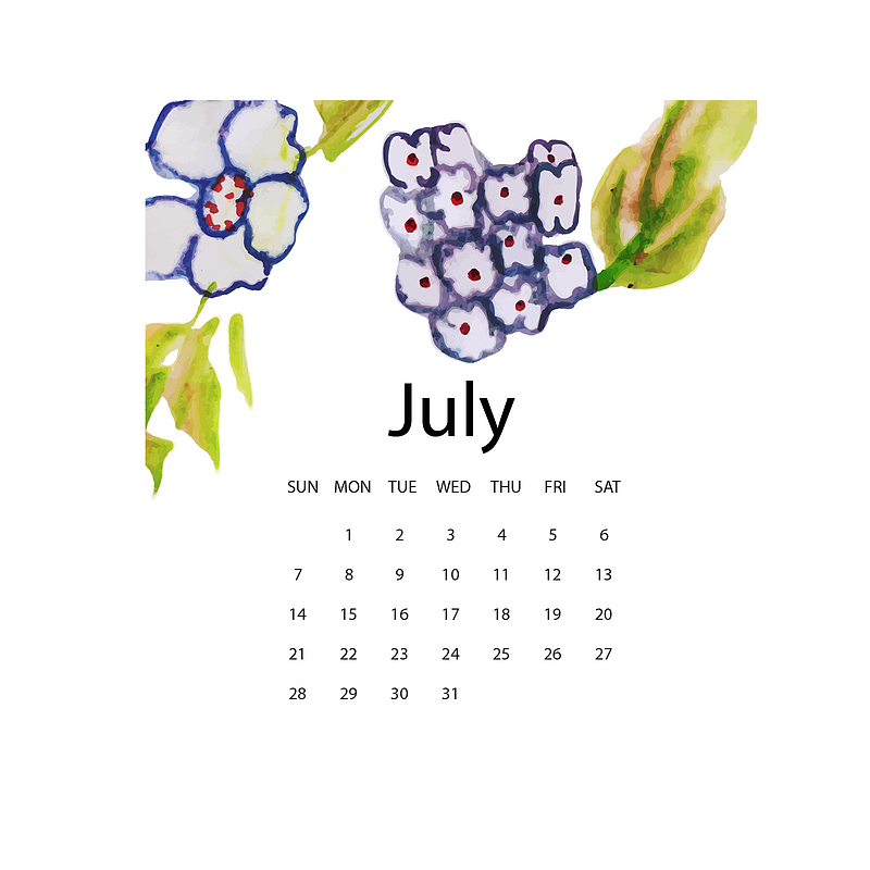 2019水彩植物7月年历