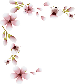 浪漫日本樱花花瓣