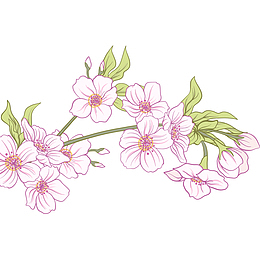 时尚矢量手绘樱花插画