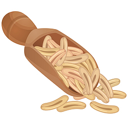 矢量燕麦免抠PNG