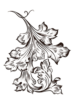 花纹