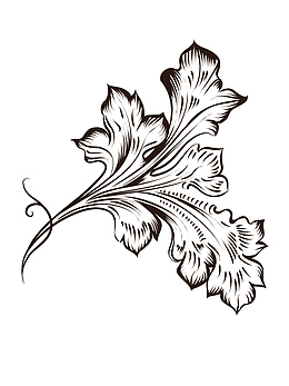 中世纪花纹
